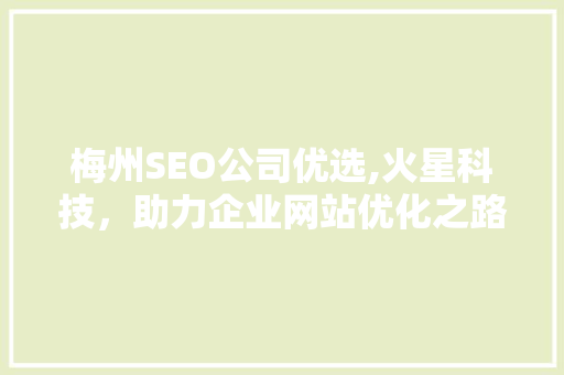 梅州SEO公司优选,火星科技，助力企业网站优化之路 seo技术