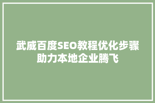 武威百度SEO教程优化步骤助力本地企业腾飞