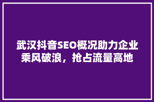 武汉抖音SEO概况助力企业乘风破浪，抢占流量高地