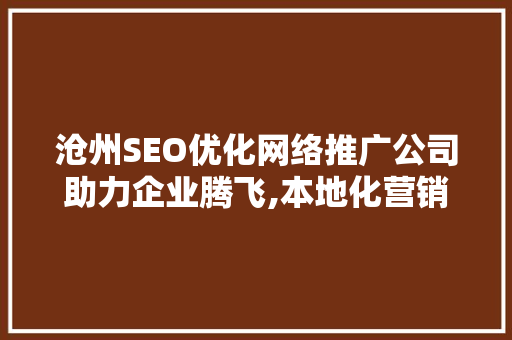 沧州SEO优化网络推广公司助力企业腾飞,本地化营销新步骤