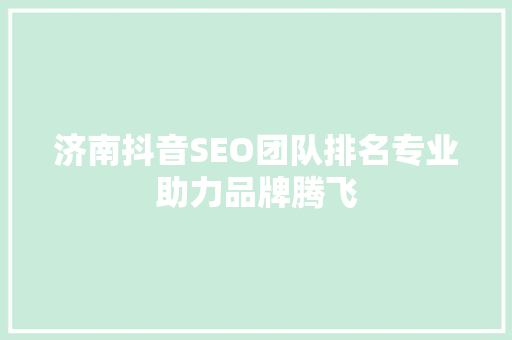 济南抖音SEO团队排名专业助力品牌腾飞 小程序开发