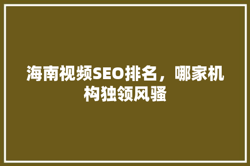 海南视频SEO排名，哪家机构独领风骚