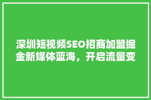 深圳短视频SEO招商加盟掘金新媒体蓝海，开启流量变现新篇章