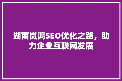 湖南岚鸿SEO优化之路，助力企业互联网发展 头条优化
