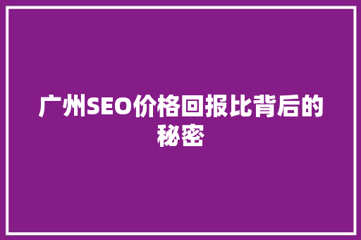广州SEO价格回报比背后的秘密 360搜优化
