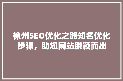 徐州SEO优化之路知名优化步骤，助您网站脱颖而出
