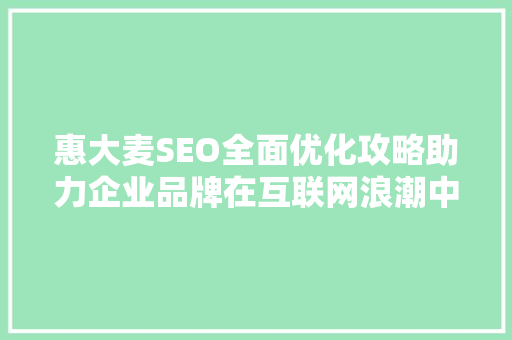 惠大麦SEO全面优化攻略助力企业品牌在互联网浪潮中乘风破浪