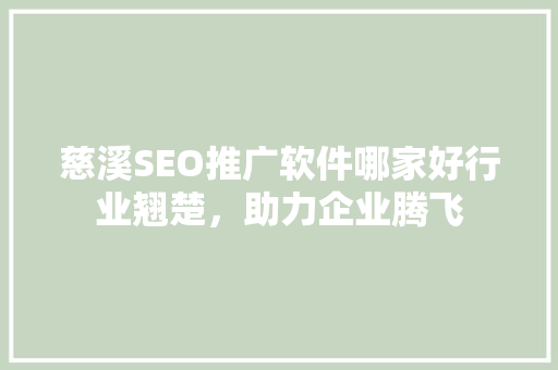 慈溪SEO推广软件哪家好行业翘楚，助力企业腾飞 网站优化