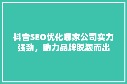 抖音SEO优化哪家公司实力强劲，助力品牌脱颖而出