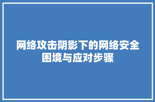 网络攻击阴影下的网络安全困境与应对步骤