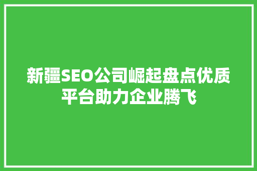 新疆SEO公司崛起盘点优质平台助力企业腾飞