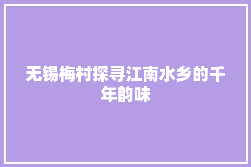 无锡梅村探寻江南水乡的千年韵味
