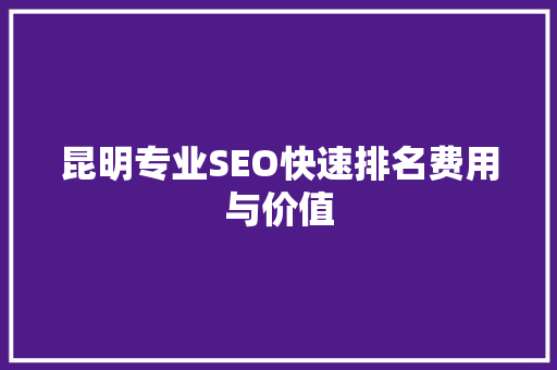 昆明专业SEO快速排名费用与价值