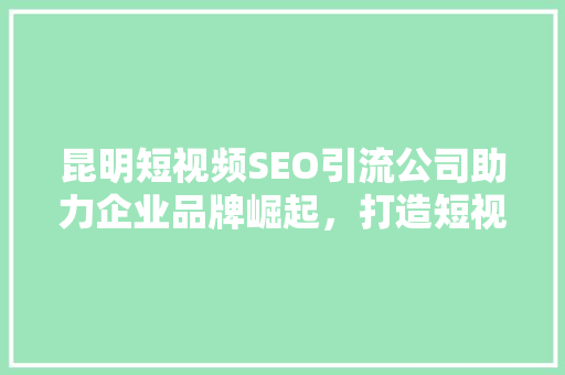 昆明短视频SEO引流公司助力企业品牌崛起，打造短视频营销新格局