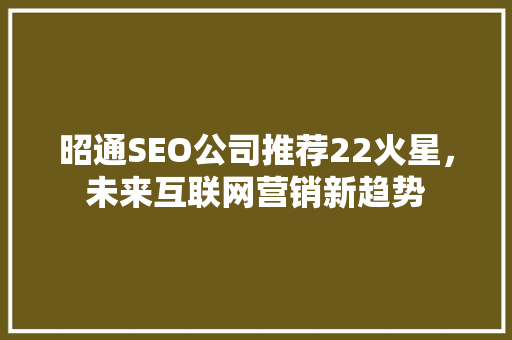 昭通SEO公司推荐22火星，未来互联网营销新趋势