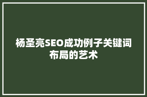 杨圣亮SEO成功例子关键词布局的艺术