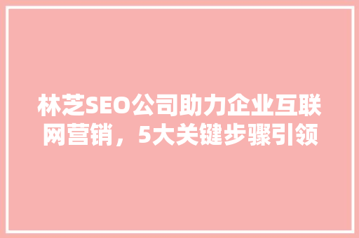 林芝SEO公司助力企业互联网营销，5大关键步骤引领行业新风向