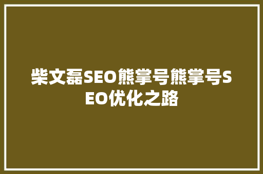 柴文磊SEO熊掌号熊掌号SEO优化之路 小程序开发