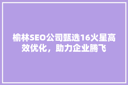 榆林SEO公司甄选16火星高效优化，助力企业腾飞