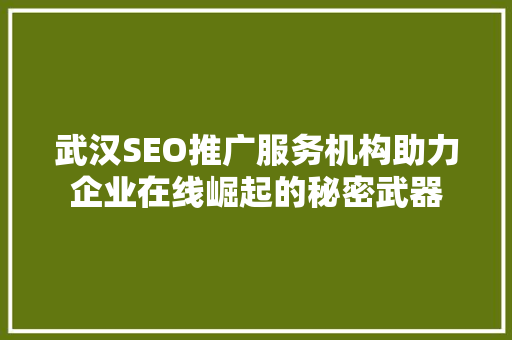 武汉SEO推广服务机构助力企业在线崛起的秘密武器