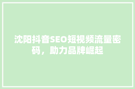 沈阳抖音SEO短视频流量密码，助力品牌崛起