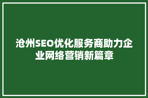 沧州SEO优化服务商助力企业网络营销新篇章