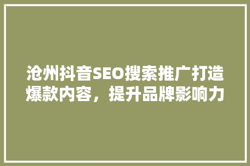 沧州抖音SEO搜索推广打造爆款内容，提升品牌影响力 网站开发