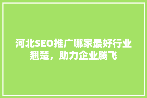 河北SEO推广哪家最好行业翘楚，助力企业腾飞
