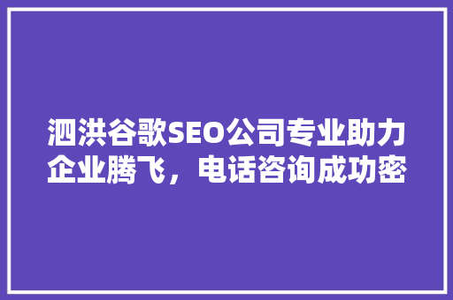泗洪谷歌SEO公司专业助力企业腾飞，电话咨询成功密码