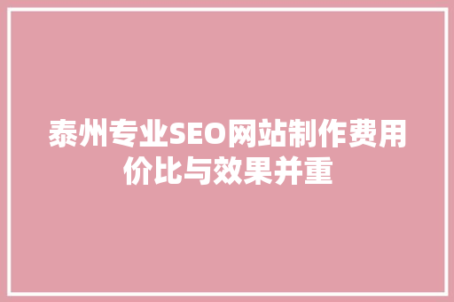 泰州专业SEO网站制作费用价比与效果并重