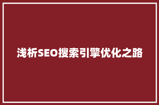 浅析SEO搜索引擎优化之路