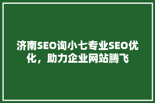 济南SEO询小七专业SEO优化，助力企业网站腾飞