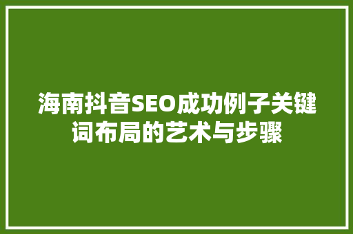 海南抖音SEO成功例子关键词布局的艺术与步骤