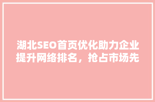 湖北SEO首页优化助力企业提升网络排名，抢占市场先机