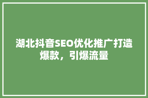 湖北抖音SEO优化推广打造爆款，引爆流量 360搜优化