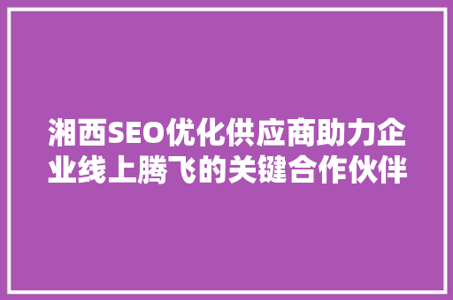 湘西SEO优化供应商助力企业线上腾飞的关键合作伙伴