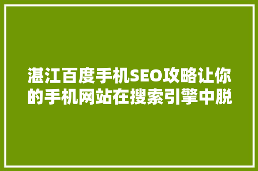 湛江百度手机SEO攻略让你的手机网站在搜索引擎中脱颖而出