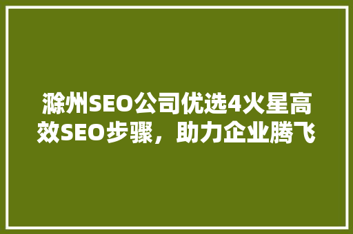 滁州SEO公司优选4火星高效SEO步骤，助力企业腾飞