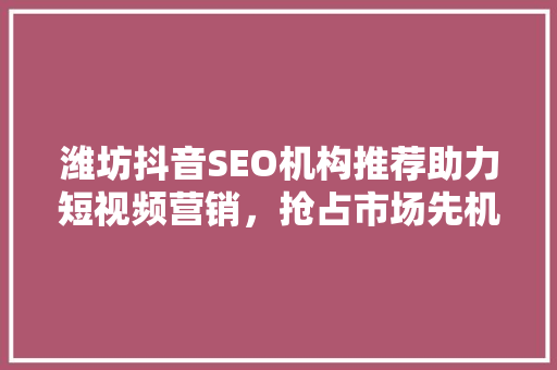潍坊抖音SEO机构推荐助力短视频营销，抢占市场先机 小程序开发