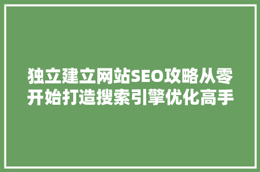 独立建立网站SEO攻略从零开始打造搜索引擎优化高手