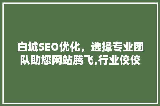 白城SEO优化，选择专业团队助您网站腾飞,行业佼佼者