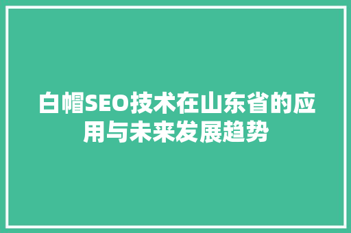 白帽SEO技术在山东省的应用与未来发展趋势