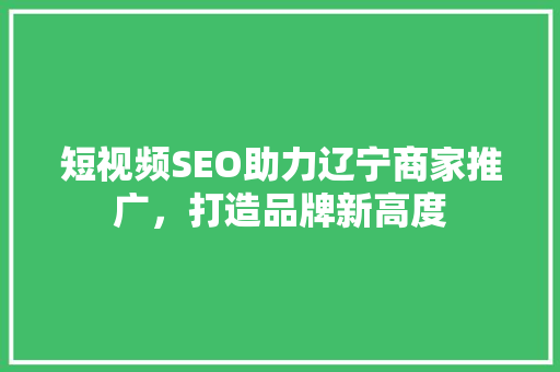 短视频SEO助力辽宁商家推广，打造品牌新高度 网站优化