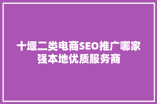 十堰二类电商SEO推广哪家强本地优质服务商