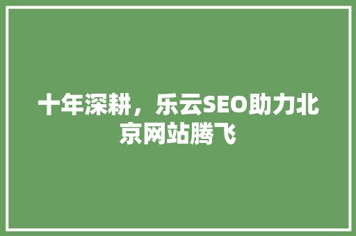 十年深耕，乐云SEO助力北京网站腾飞