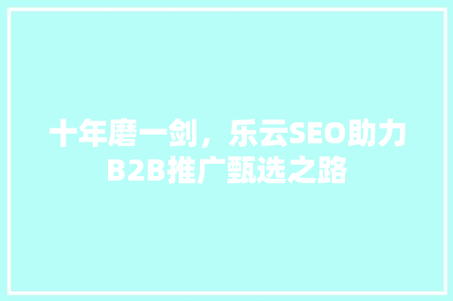 十年磨一剑，乐云SEO助力B2B推广甄选之路 头条优化