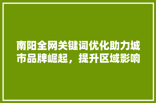 南阳全网关键词优化助力城市品牌崛起，提升区域影响力