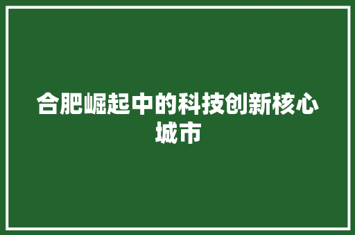合肥崛起中的科技创新核心城市