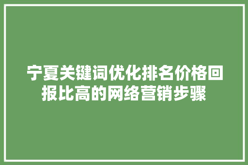 宁夏关键词优化排名价格回报比高的网络营销步骤 360搜优化