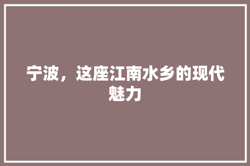 宁波，这座江南水乡的现代魅力